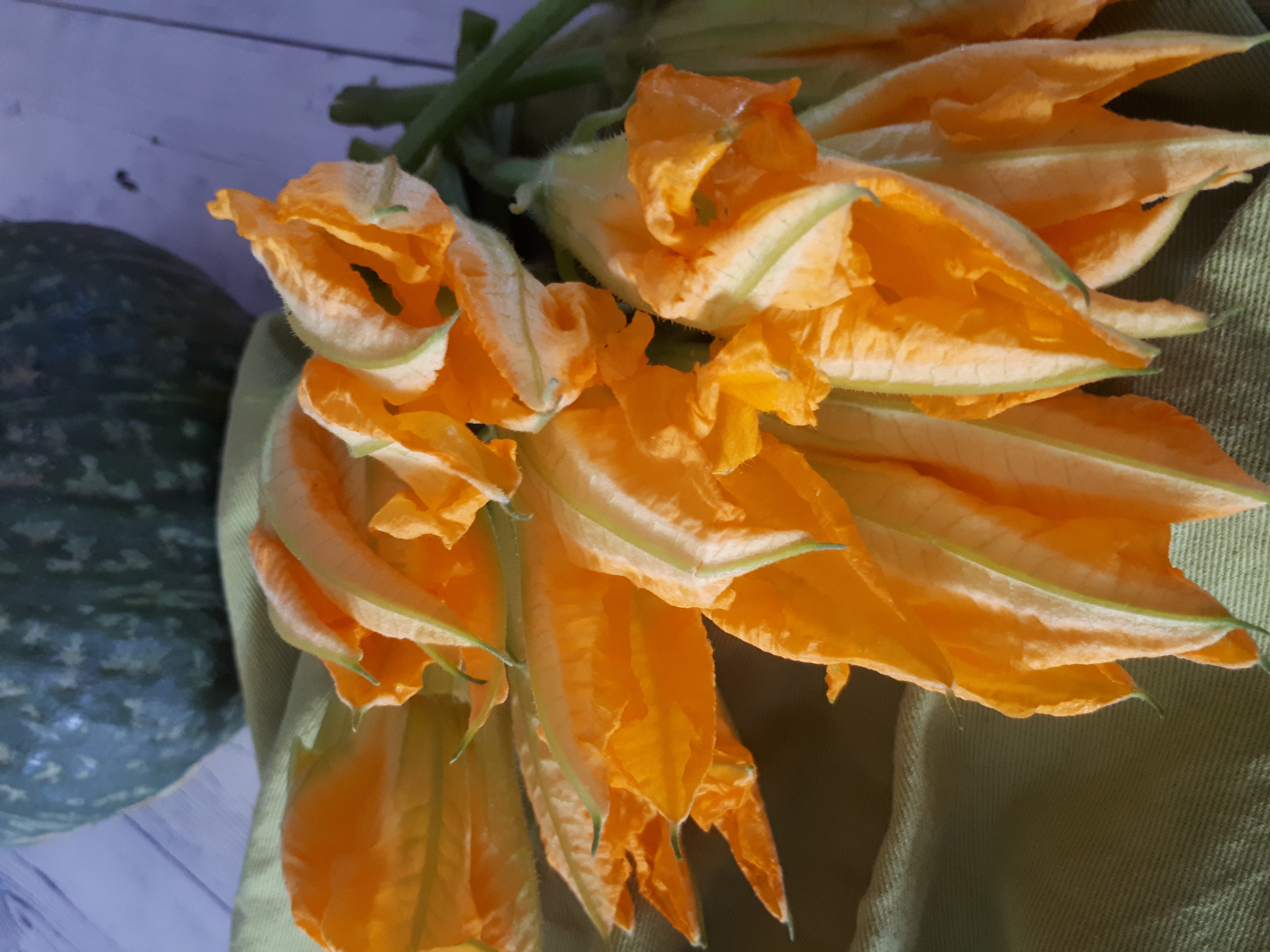 FIORI DI ZUCCA RIPIENI 2