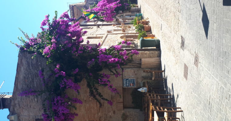 TORRE di PALME, tra i borghi delle MARCHE..